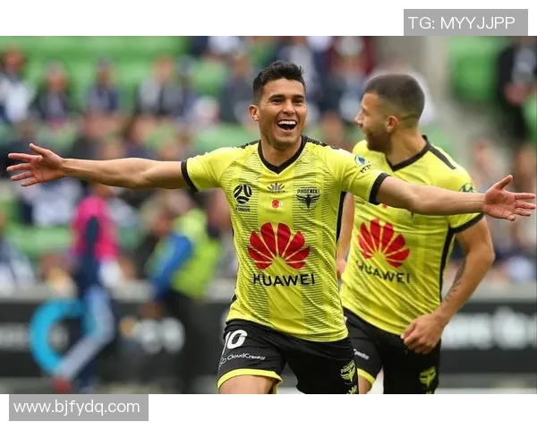 2019年布里斯狮与惠灵顿精彩对决回顾与分析