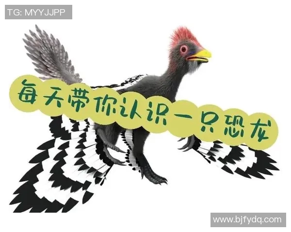 探索始祖鸟软壳的奥秘与其在古生物学中的重要性分析