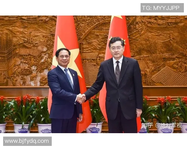 赖斯的外交智慧与全球影响力分析及其对未来国际关系的启示