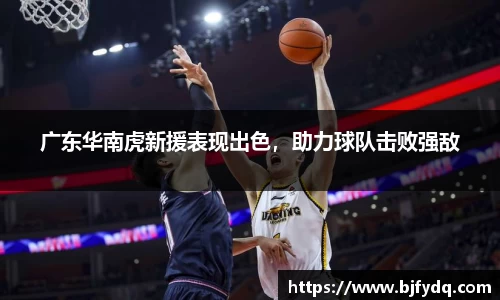 zoty中欧官方网址